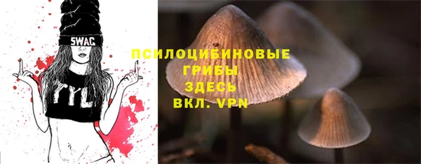 сатива Балабаново