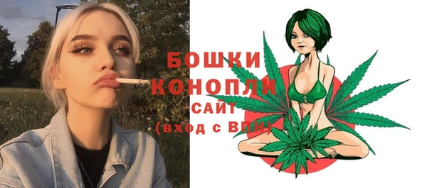 метадон Каменногорск
