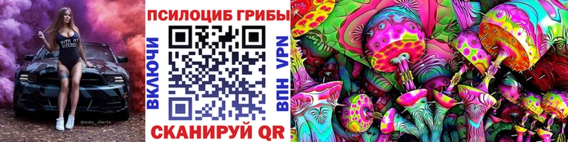 где найти наркотики  Верхняя Салда  это как зайти  Псилоцибиновые грибы Psilocybine cubensis 