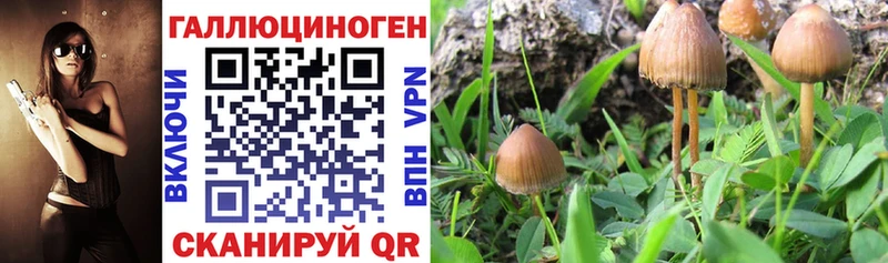 Псилоцибиновые грибы мухоморы Верхняя Салда